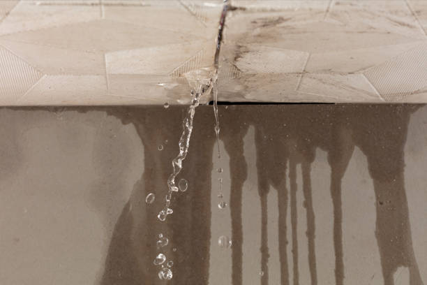 Professional Water Extraction technician working in Uniopolis, OH
